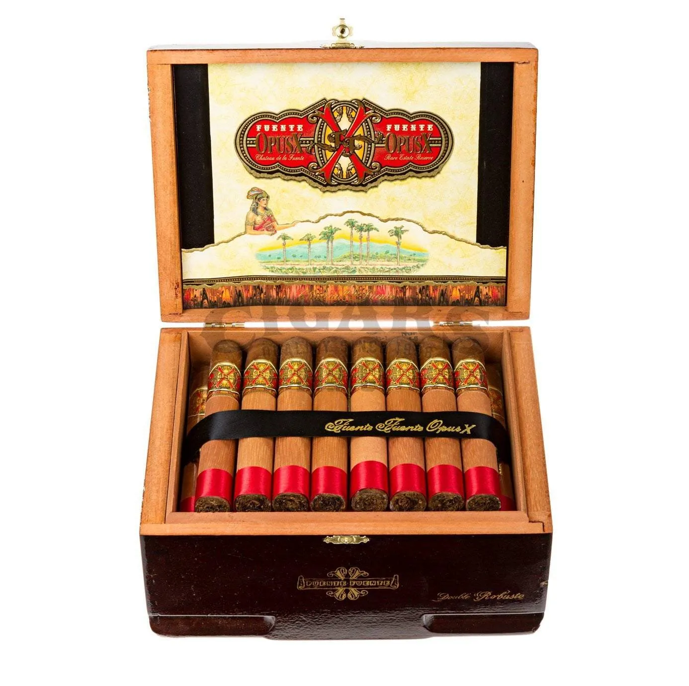 Arturo Fuente Opus X Double Robusto